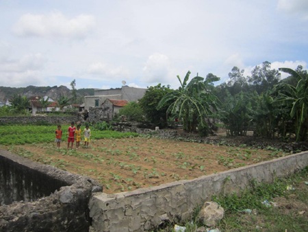 Láng giếng mất tình nghĩa vì... 10 nghìn đồng - 3 Căn nhà của ông Lên Văn Bảo không có gì đáng giá để cưỡng chế thi hành án