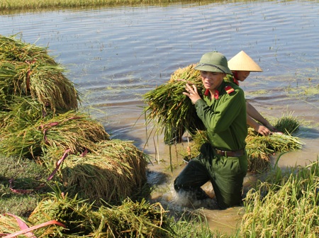 Sức trẻ trên những cánh đồng lũ - 8 Tình quân dân trong lũ