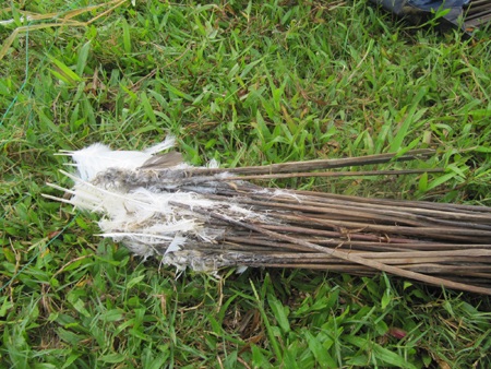 Mùa "tận diệt" chim trời - 11 Mùa "tận diệt" chim trời - 11