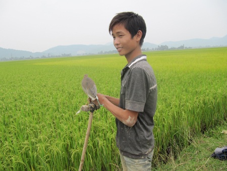 Mùa "tận diệt" chim trời - 6 Mùa "tận diệt" chim trời - 6