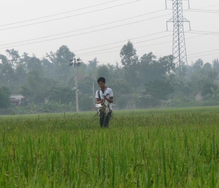 Mùa "tận diệt" chim trời - 9 Mùa "tận diệt" chim trời - 9