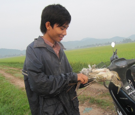 Mùa "tận diệt" chim trời - 8 Mùa "tận diệt" chim trời - 8