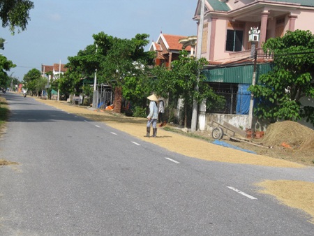 Mùa lúa đắng - 11