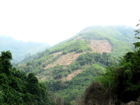 Hàng trăm cán bộ giữ rừng lay lắt sống vì không có nguồn lương - 2 Hàng trăm cán bộ giữ rừng lay lắt sống vì không có nguồn lương - 2