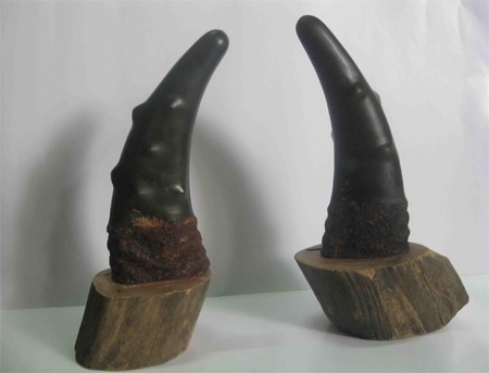 Sừng tê giác rởm giá trăm triệu và cú lừa ngoạn mục - 2 Sừng tê giác rởm giá trăm triệu và cú lừa ngoạn mục - 2