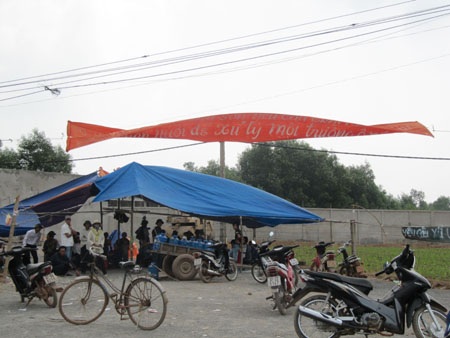 Dân “tố khổ” vì trại lợn gây ô nhiễm - 1 Dân “tố khổ” vì trại lợn gây ô nhiễm - 1