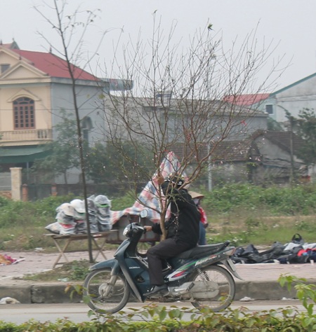 Quá khổ, quá tải và... quá tay.