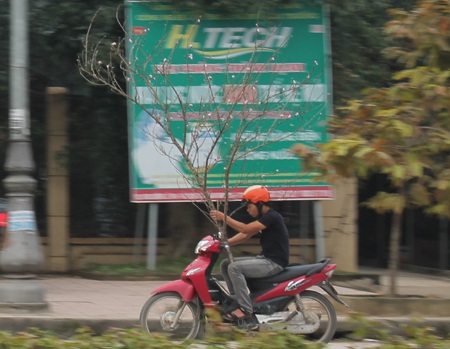 Quá khổ, quá tải và... quá tay.