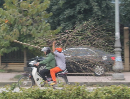 Quá khổ, quá tải và... quá tay.