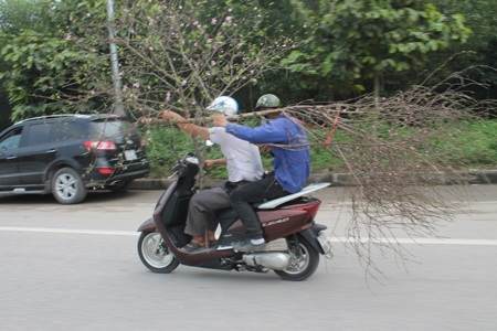 Quá khổ, quá tải và... quá tay.