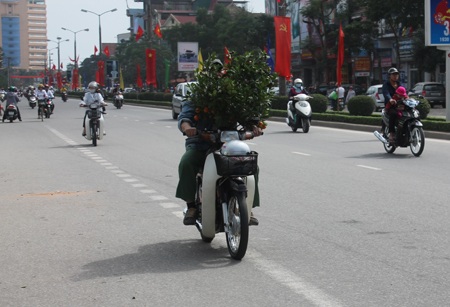 Cây hay người lái xe?