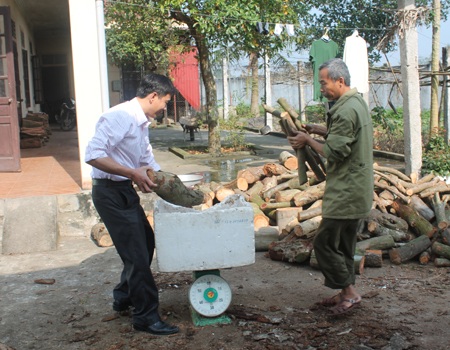 Cán bộ Khu điều dưỡng tâm thần kinh thương binh Nghệ An chuẩn bị củi để nấu bánh chưng Tết