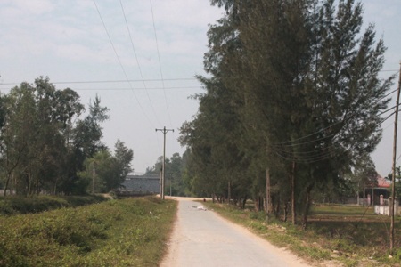Hàng loạt học sinh hoang mang vì bị trấn lột - 1 Đoạn đường kênh Thọ Sơn - nơi các em bị cướp khá vắng vẻ và thưa thớt nhà dân