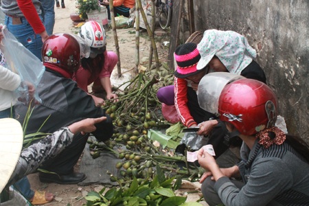 Trầu cau là thứ không thể thiếu trên mâm thờ tổ tiên ngày Tết