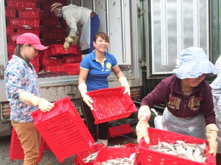 Những người phụ nữ “không màng” ngày 8/3 - 4 Vận chuyển cá vào kho lạnh là công việc đòi hỏi phải có sức khỏe tốt và khả năng chịu được lạnh cao