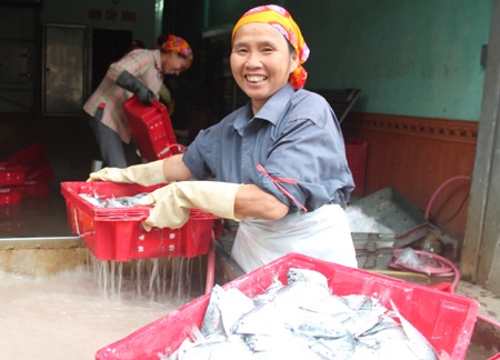 Những người phụ nữ “không màng” ngày 8/3 - 8 Vận chuyển cá vào kho lạnh là công việc đòi hỏi phải có sức khỏe tốt và khả năng chịu được lạnh cao