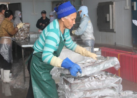 Những người phụ nữ “không màng” ngày 8/3 - 2 Bà Hải - hơn 60 tuổi vẫn làm việc trong xưởng đông lạnh.