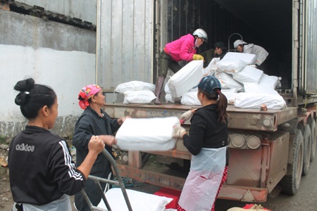 Những người phụ nữ “không màng” ngày 8/3 - 1 Những người phụ nữ với sức vóc nhỏ bé vận chuyển cá đông lạnh lên xe ô tô.