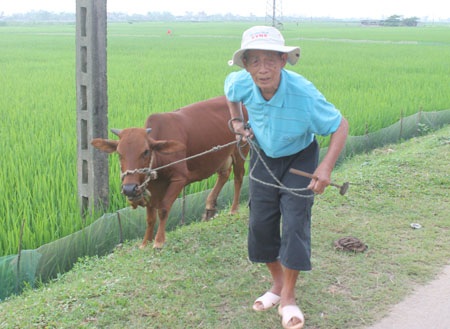 “Chuyến hàng” đặc biệt 60 năm trước - 5 Công việc thường ngày của người lính năm xưa, khi ông đã ở cái tuổi xưa nay hiếm.