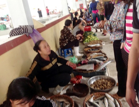 Dự án được tài trợ 100%, xã vẫn thu của dân hàng chục triệu đồng? - 2 Khu vực hành lang được tận dụng đế bố trí dãy hàng bán cá có giá 5 triệu đồng/chỗ ngồi