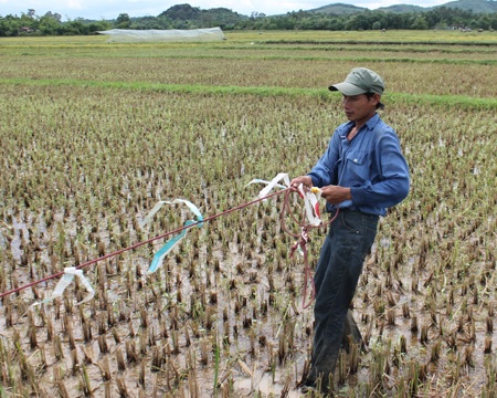 Đàn ông khỏe mạnh thì lĩnh nhiệm vụ kéo lưới.