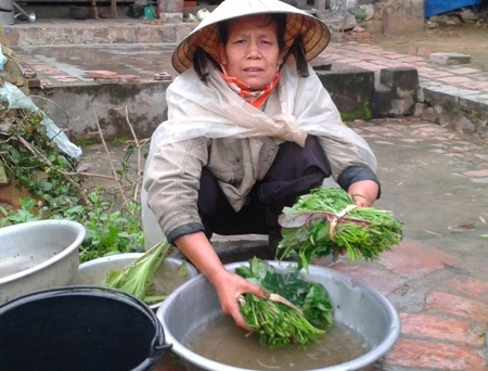 "Mẹ ơi đừng chết, cơm rau mẹ nấu con thấy vẫn ngon" - 2 Mẹ ơi đừng chết, cơm rau mẹ nấu con thấy vẫn ngon