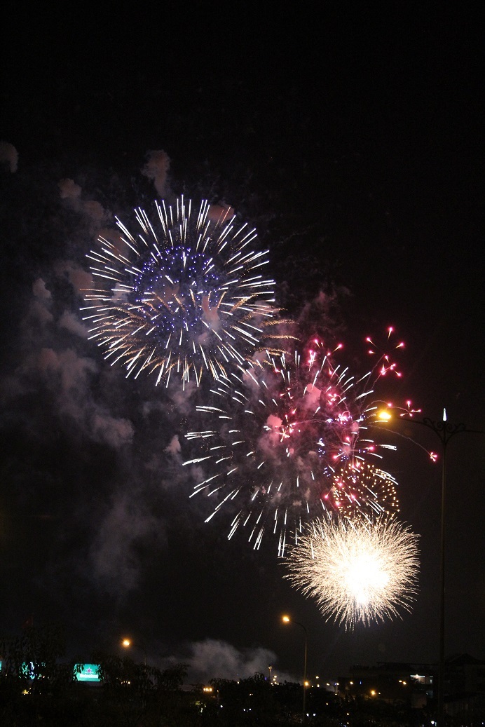 Những bông hoa sáng rực trên bầu trời Sài Gòn.