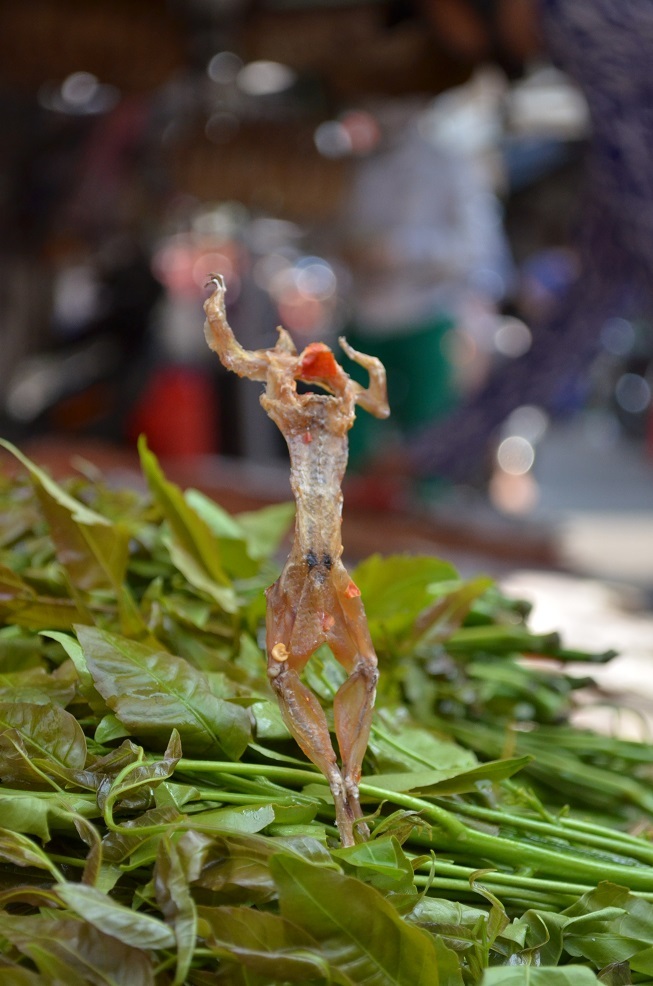 Vũ nữ thân gầy (khô nhái chào hàng trên bó lá sầu đâu)