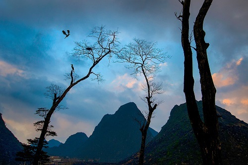 Ngỡ ngàng ngắm ảnh đẹp tại triển lãm “Việt Nam quê hương tôi” - 4 Tình yêu và Cuộc sống