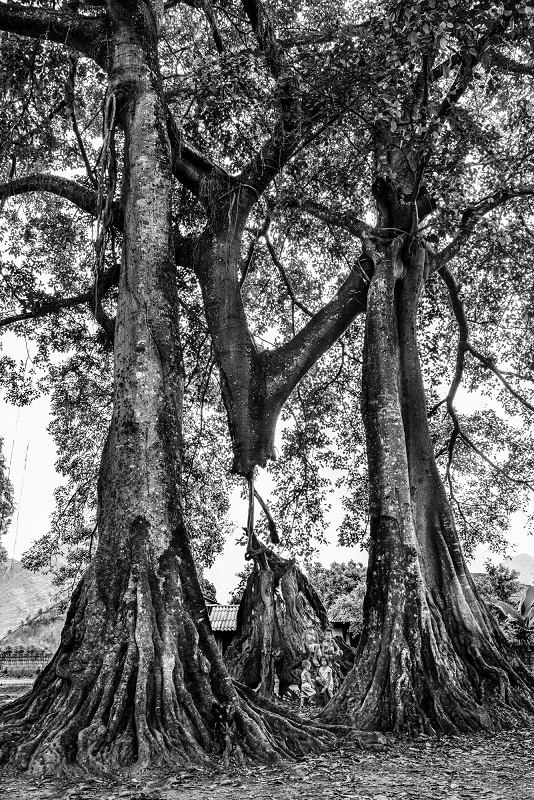 Ngỡ ngàng ngắm ảnh đẹp tại triển lãm “Việt Nam quê hương tôi” - 5 Sức sống