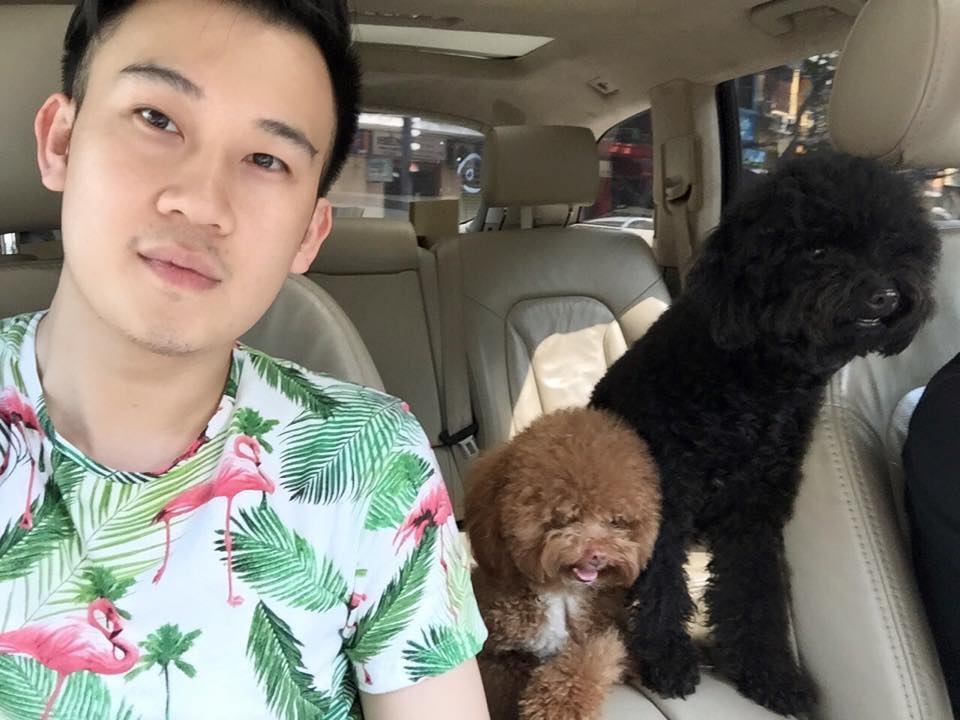 Thú cưng của sao Việt nào đáng yêu nhất? - 3 Dương Triệu Vũ cũng có 2 chú cún rất đáng yêu thuộc họ