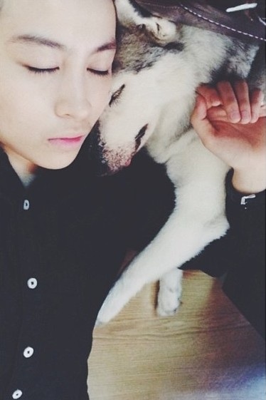 Thú cưng của sao Việt nào đáng yêu nhất? - 8 Nam ca sĩ