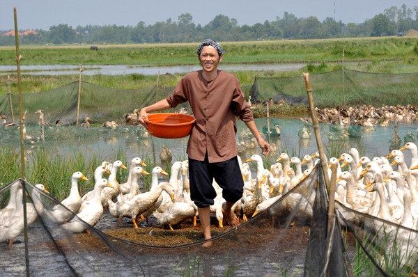 Những sao Việt không đẹp trai vẫn nổi tiếng - 3 Cho đến hình ảnh người nông dân chân chất