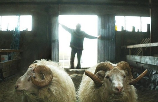 Giải thưởng đầu tiên của LHP Cannes - 1 Cảnh trong bộ phim Rams