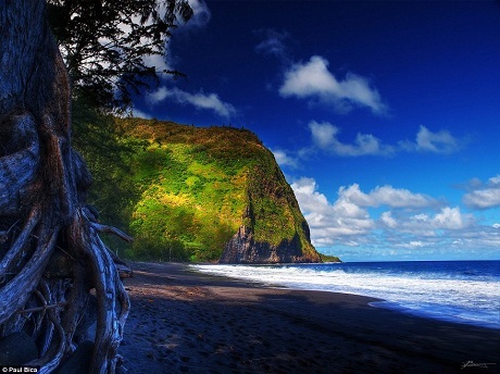 “Sao” bự đi đâu mùa hè này? - 2 Tổng thống Mỹ thích việc trở lại Kailua, Hawaii - nơi ông sinh ra