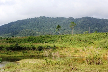 Dân giữ rừng không công: “Đem con bỏ chợ”? - 2 Bà con chia sẻ về khó khăn trong công tác quản lý rừng với PV