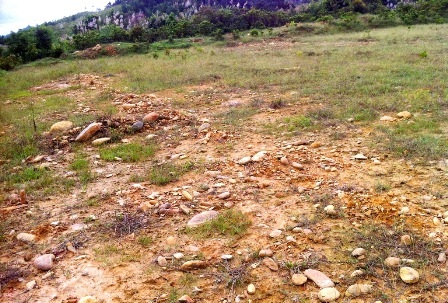 Dân giữ rừng không công: “Đem con bỏ chợ”? - 3 Đất đầy sỏi đá tại khu tái định cư thủy điện A Lưới khiến người dân rất khó khăn trong trồng trọt