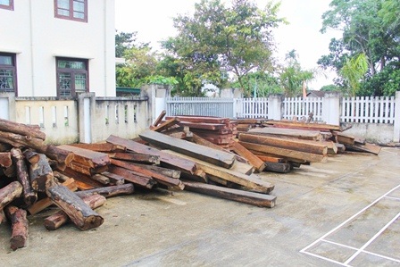 Dân giữ rừng không công: “Đem con bỏ chợ”? - 4 Gỗ thu được từ lâm tặc có phần công sức không nhỏ của bà con nhân dân.