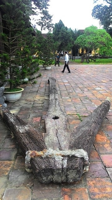 Chuyển mỏ neo gỗ khổng lồ về bảo tàng - 1 Mỏ neo bằng gỗ đã được chuyển tạm về sân bảo tàng.