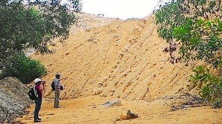 Buộc mỏ đá gây bồi lấp dòng chảy phải xử lý hậu quả - 2 Đất đá thải của mỏ đá Việt Nhật tràn ra làm tắc dòng chảy phía dưới