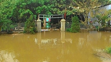 Huế đón trận lũ đầu tiên - 9 Trận lũ đầu tiên luôn được người dân mong đợi