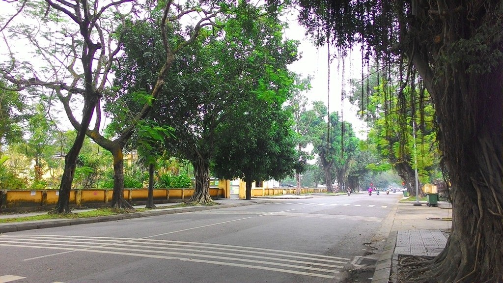 Tiết trời đẹp, nhiều cung bậc cảm xúc trong ngày đầu năm 2015 - 20 Đường Nguyễn Trường Tộ đầy bóng xanh của cây trong lành đón năm mới