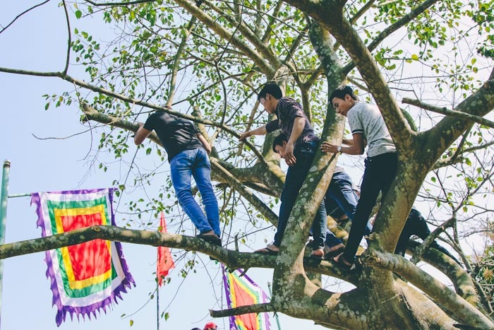 Những pha vật võ đẹp mắt của trai làng Thủ Lễ - 15 Cây cao là nơi lý tưởng để xem