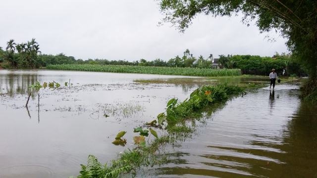 Nước ngập đường liên thôn ở Thị xã Hương Trà (ảnh: T.Ngọc)