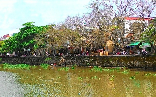 Những đoạn sông đầy bèo trong thành phố Huế. 