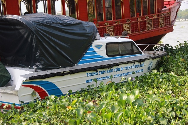 Bèo ứ đọng, mắc vào các phương tiện đường thủy