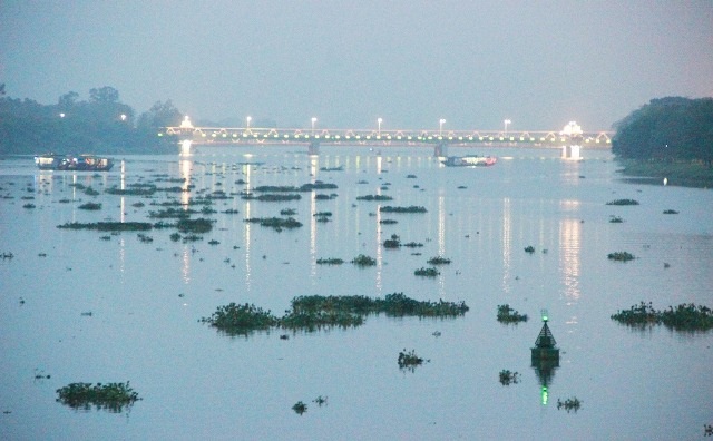 Bèo tràn ngập sông Hương một cách rất bất thường