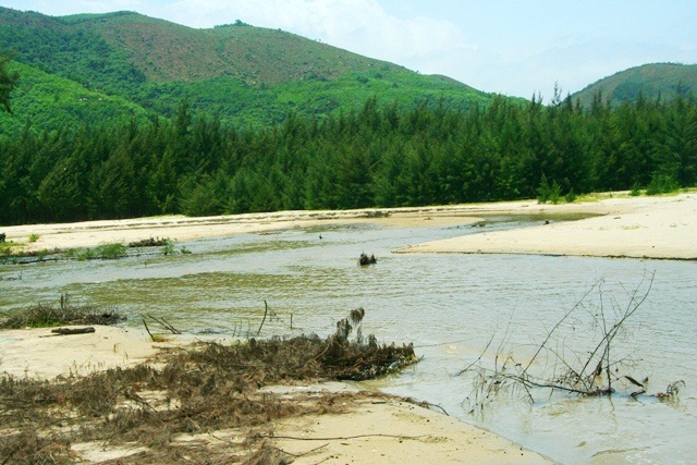 Cửa biển Tư Dung bị bồi lấp nặng, người dân kêu cứu! - 4 Nhiều doi cát mọc ra giữa biển gây cản nước biển vào bờ