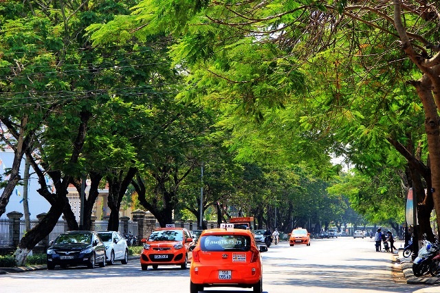 Huế - “Thành phố xanh” của Việt Nam - 8 Đường Nguyễn Huệ