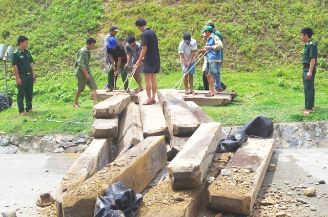 Mang theo súng đạn để vận chuyển gỗ lậu - 2 Số gỗ lậu 4,5m3 gỗ Kiền thu giữ được